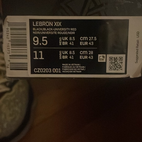 Lebrons Kick Air Jordans - Picture 4 of 4
